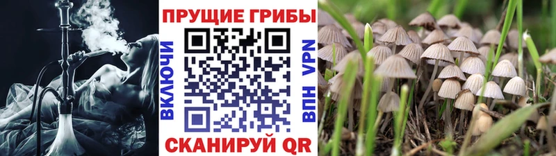 Псилоцибиновые грибы Magic Shrooms  Нижний Ломов 